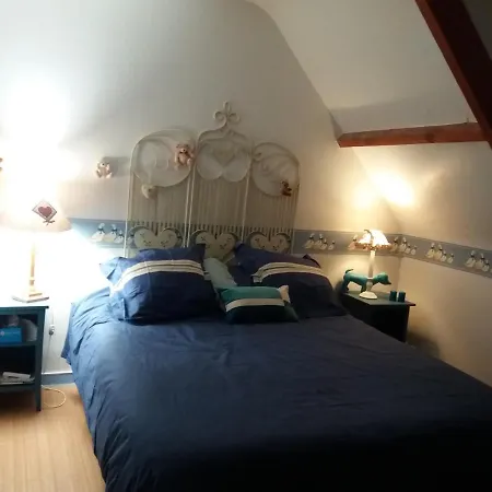 Les Mouettes 1 Ou 4 D Hote, Jardin ,bords De Loire