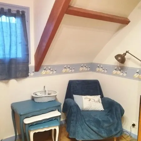 Les Mouettes 1 Ou 4 D Hote, Jardin ,bords De Loire Bed & Breakfast 3*